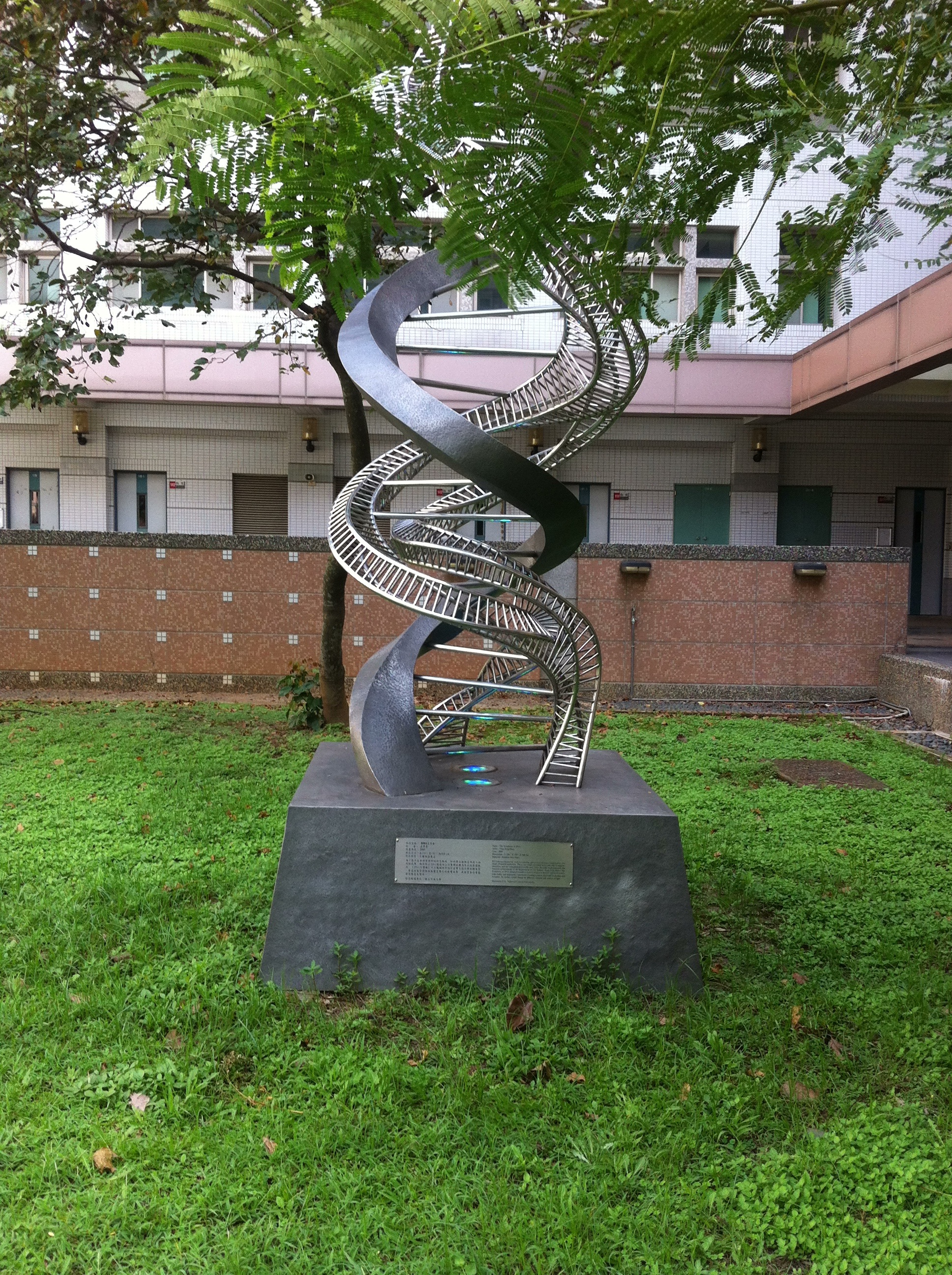 The symphony of DNA